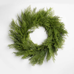 green cedar wreath holiday on a white background
