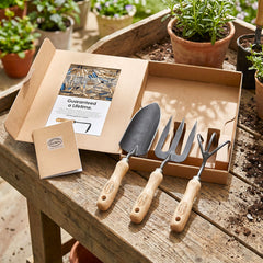 h potter dewit Gardening tool set with a box on a wooden table outdoors