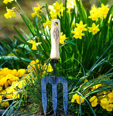 Metal Gardening Fork with wooden handle in daffodils yellow flowers