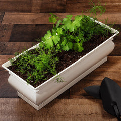 Garden Planters for Herbs Succulents Flowers