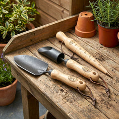h potter set of gardening tools with wooden handles on a wooden surface surrounded by potted plants.