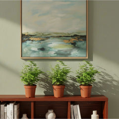 Maidenhair ferns styled on shelf in indoor living space