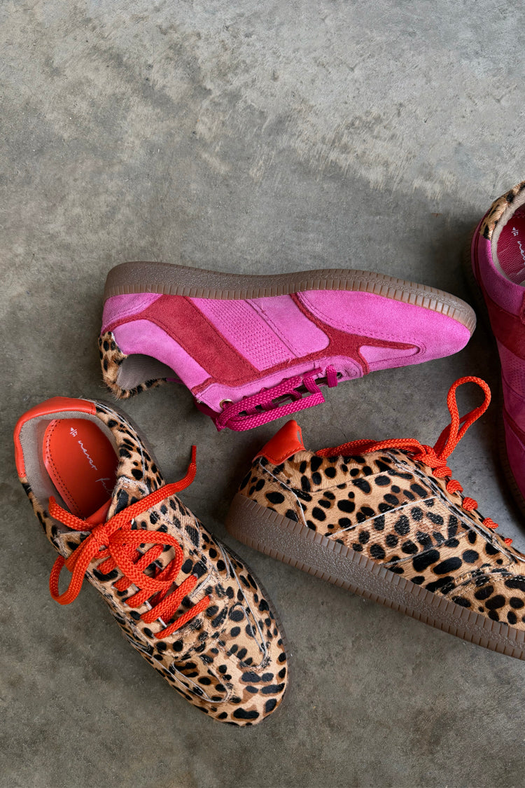 Leopard Pony Trainer