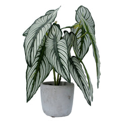 Potted Faux Plant