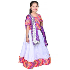 Rajasthani Dress For Girls Kids Indian States & Folk Dance Costume