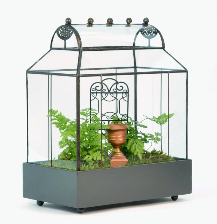 H Potter Barrel Roof Wardian Case Terrarium with moss and ferns