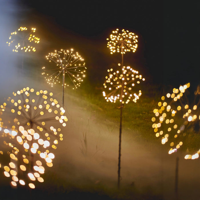 Multiple H Potter solar golden blooms in backyard party