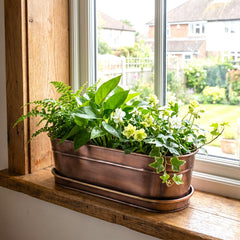 h potter tabletop planter with plants in a window sill