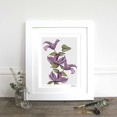 Mulberry Collection Fine Art Print