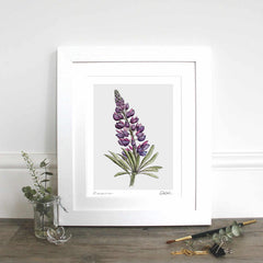 Mulberry Collection Fine Art Print