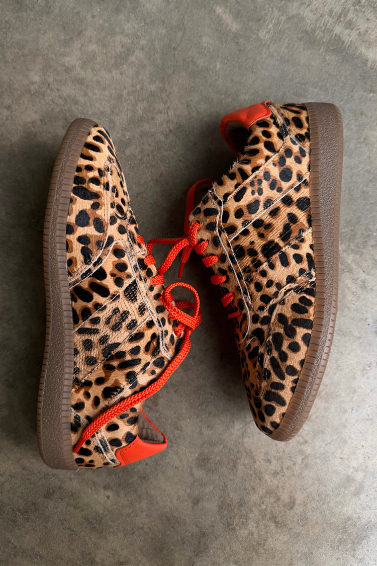 Leopard Pony Trainer