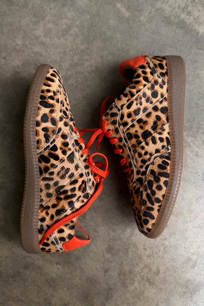 Leopard Pony Trainer