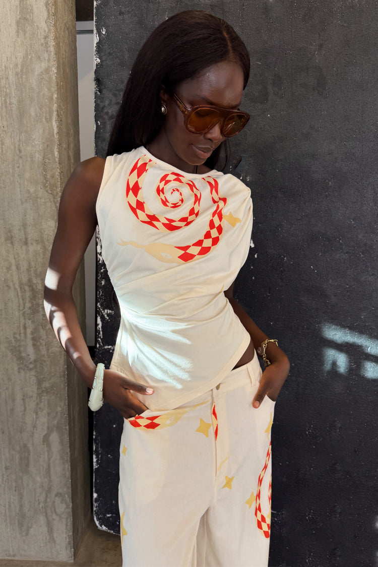 Snake Asymmetric Top