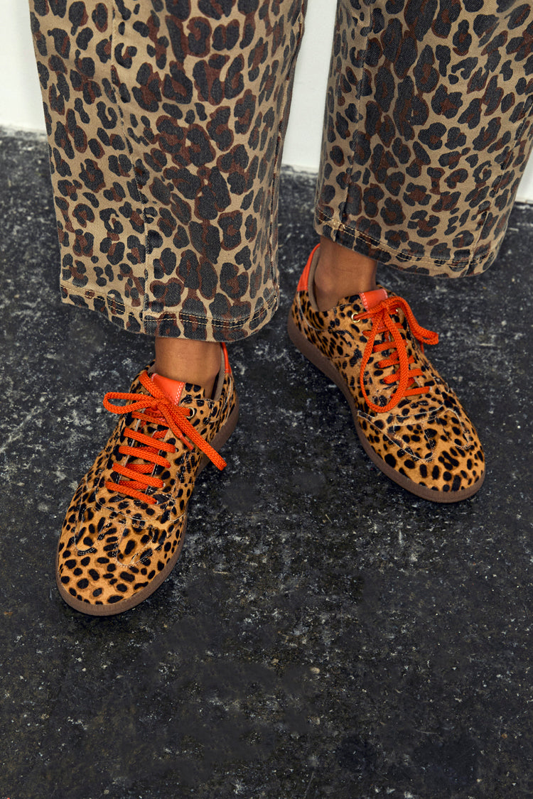Leopard Pony Trainer