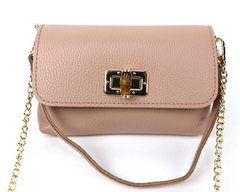 Small Clutch/Shoulder Cross Body Bag