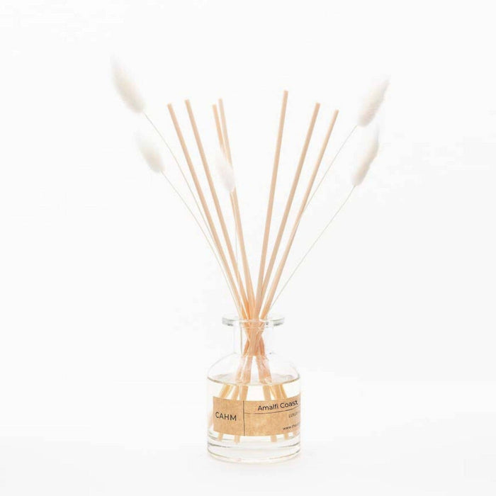 Wood Sage & Sea Salt Reed Diffuser - Clear
